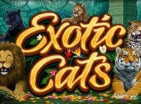 Exotic Cats recension